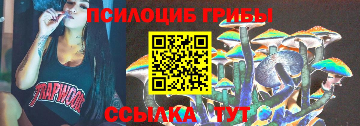 Галлюциногенные грибы Cubensis Дедовск